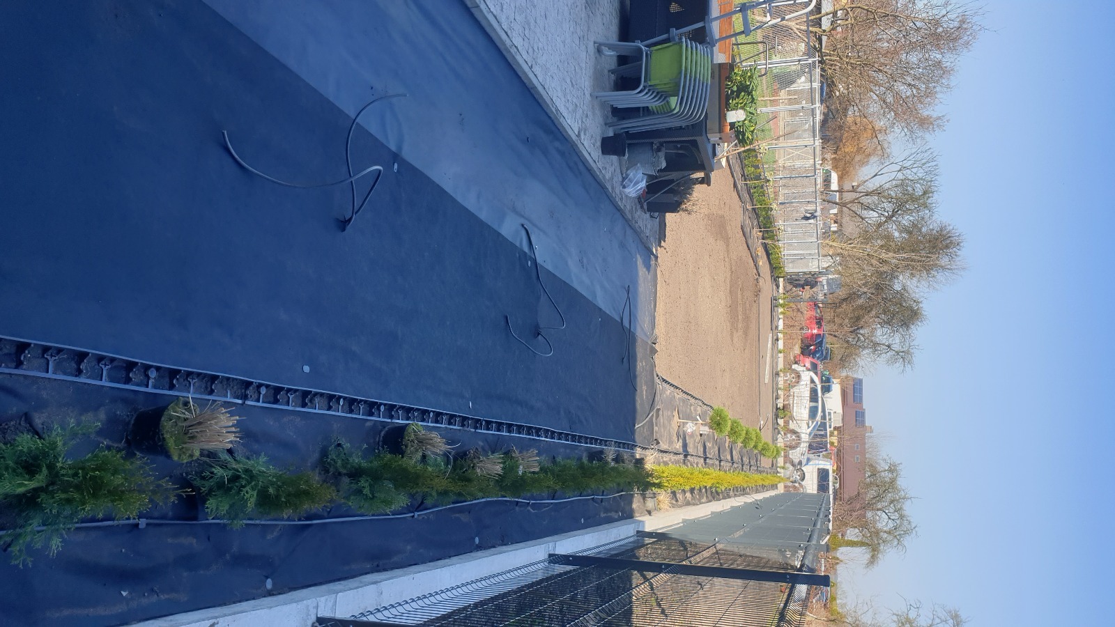 Przygotowanie terenu pod nasadzenia w Zielonce: rozłożona agrowłóknina, system mocowań i rząd roślin w doniczkach wzdłuż ogrodzenia.