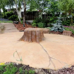 Betonowy plac w ogrodzie z imitacją pnia drzewa i korzeni, otoczony zielenią i korą drzewną.