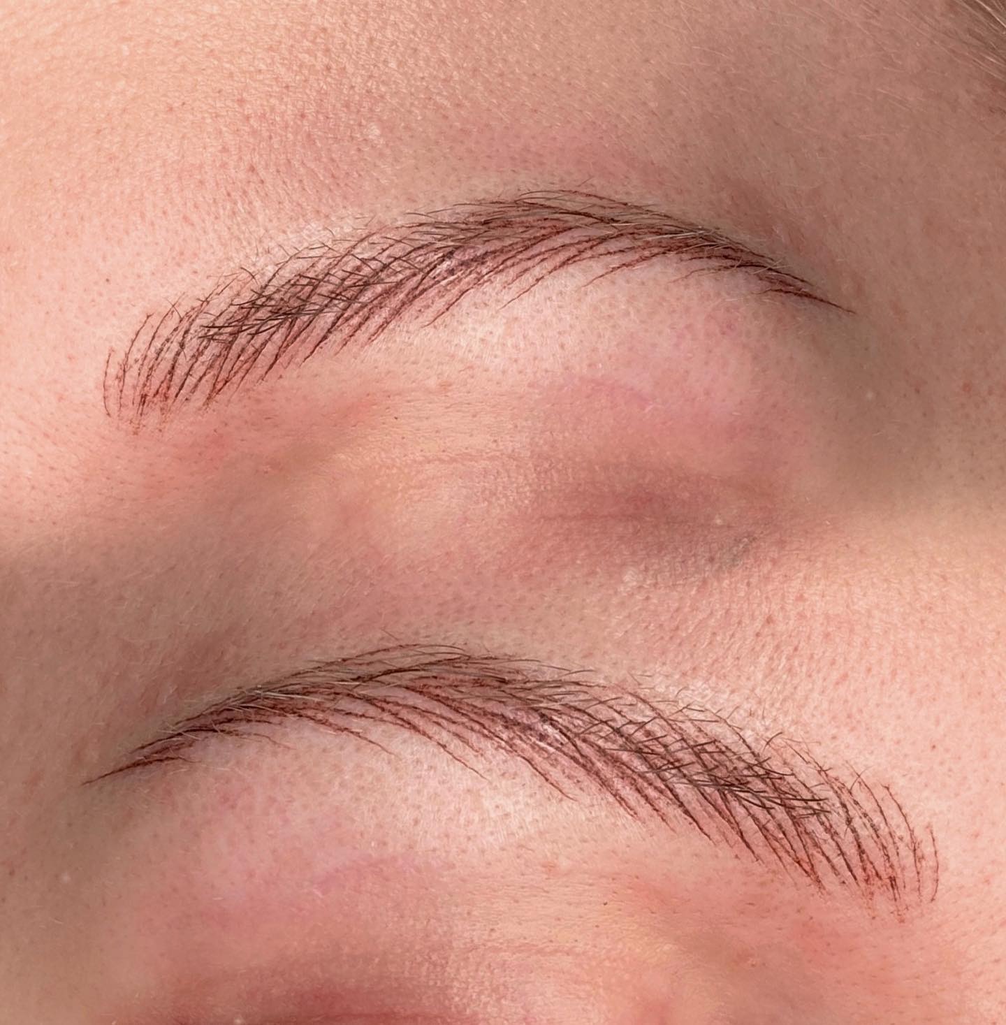 Zbliżenie na brwi po zabiegu microbladingu, widoczne pojedyncze włoski i pigmentacja skóry.
