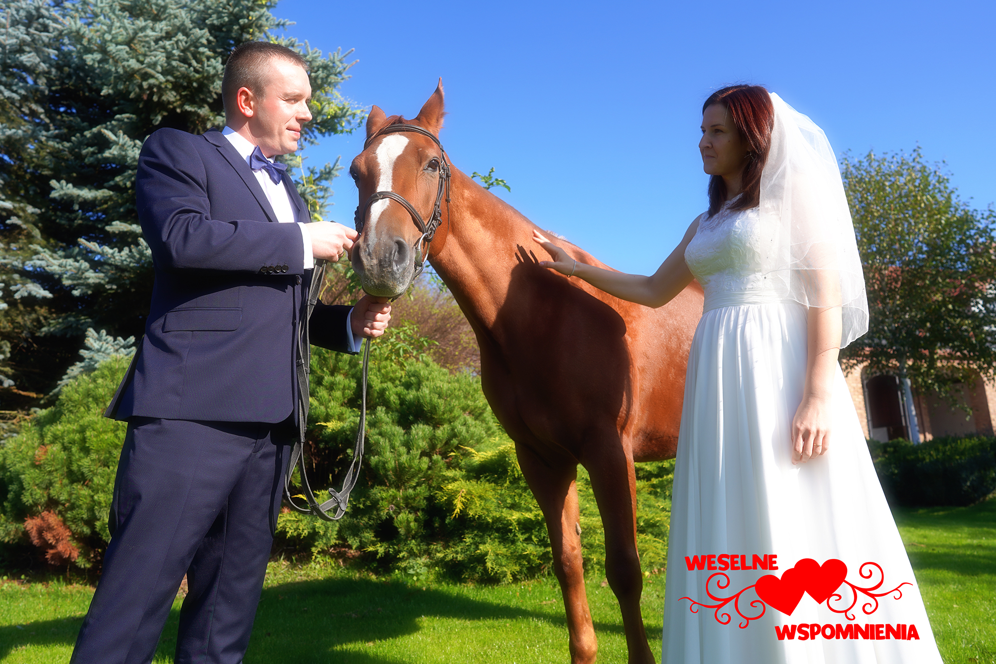 Para młoda z koniem na zielonej łące w słoneczny dzień, groom trzyma wodze, panna młoda głaszcze konia, w rogu grafika 'weselne wspomnienia'.