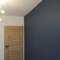 Nowoczesne wnętrze: drewniane drzwi z czarną klamką na tle granatowej ściany i białego sufitu z lampą.