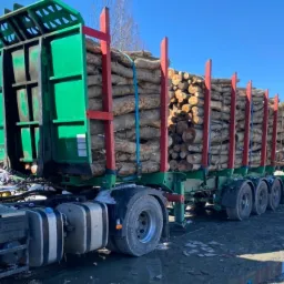 Ciężarówka z zieloną naczepą wypełniona pociętymi kłodami drewna, zabezpieczonymi niebieskimi pasami, na tle błękitnego nieba.