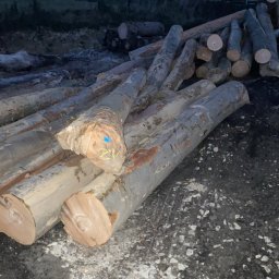 Drewno kominkowe Żłobek 10