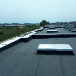 Widok z góry na płaski dach pokryty papą z licznymi świetlikami i kominami wentylacyjnymi, w tle zielone pola i budynki.