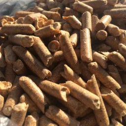 Jasnobrązowe brykiety pelletu drzewnego w przezroczystym worku foliowym, oświetlone naturalnym światłem słonecznym, widoczne nierówności i pęknięcia na powierzchni pelletu.