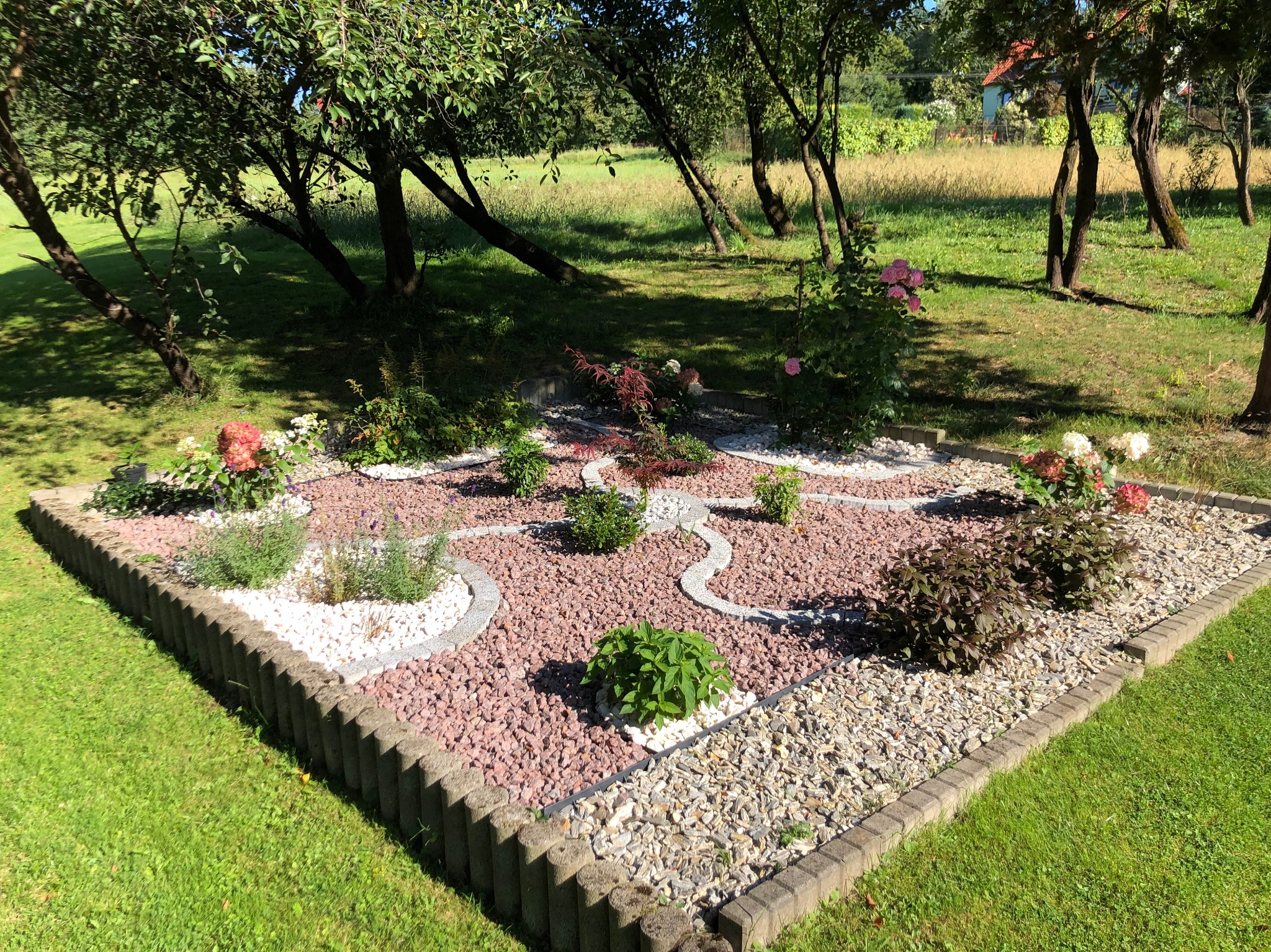 Kwadratowa rabata z różowym żwirem, obrzeżem z kostki i roślinami. Dekoracyjny element ogrodu, z trawnikiem i drzewami w tle, w słoneczny dzień.
