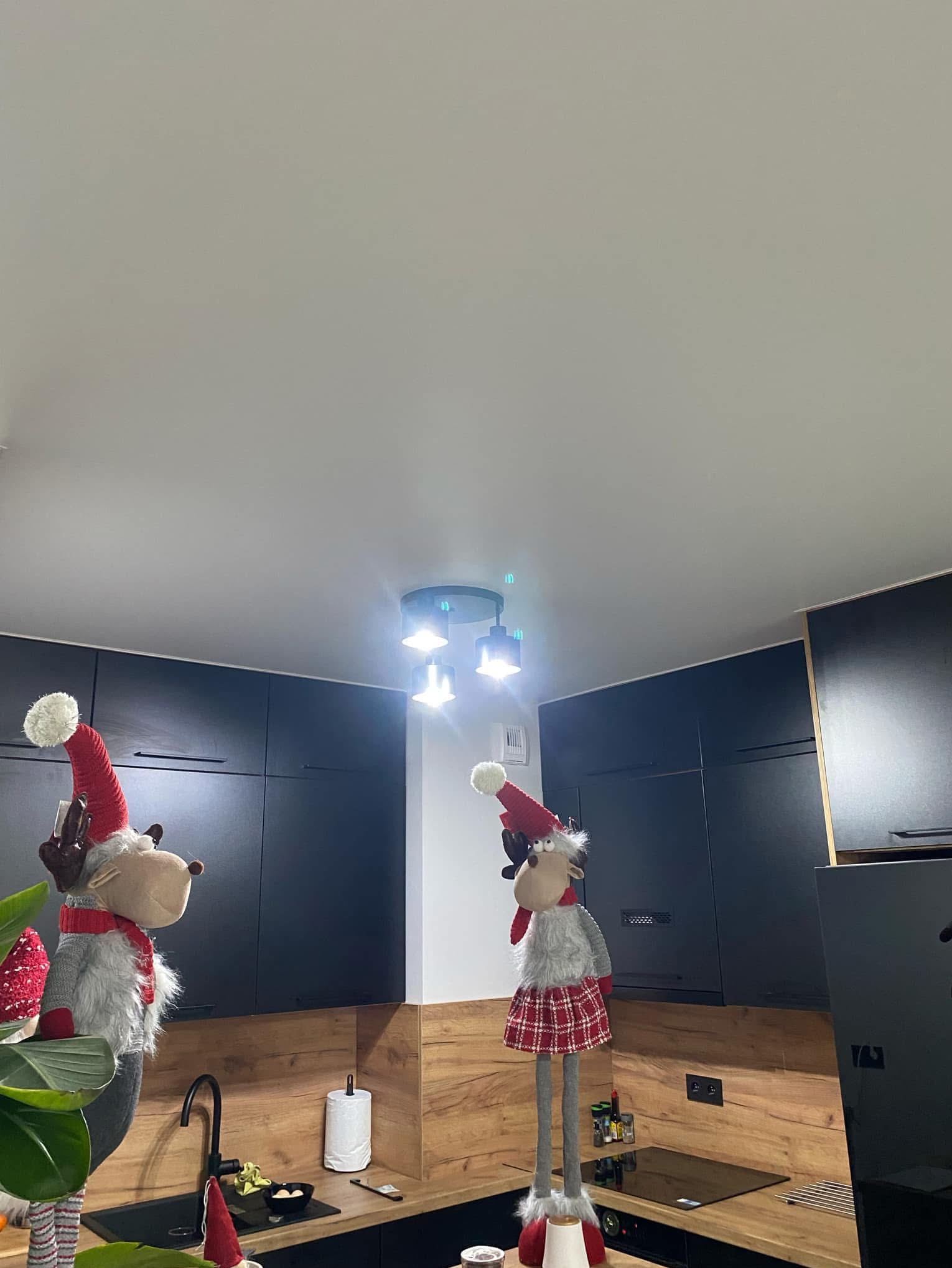 Nowoczesna kuchnia z czarnymi szafkami i drewnianym blatem, oświetlona lampą sufitową; świąteczne dekoracje reniferów dodają wnętrzu sezonowego charakteru.