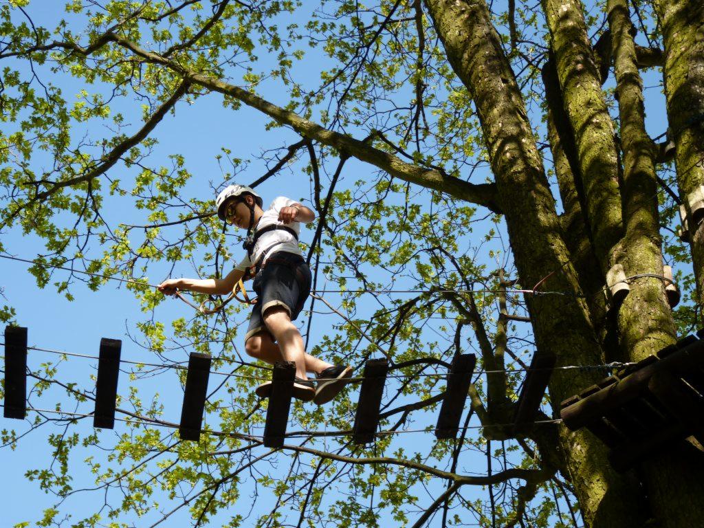 Mężczyzna w kasku i uprzęży przechodzi przez most linowy w parku linowym, widok z dołu na tle błękitnego nieba i zielonych liści.