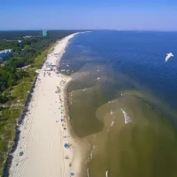 Szeroki widok z lotu ptaka na zatłoczoną plażę z białym piaskiem, ciemnozielony las wzdłuż wybrzeża, błękitne morze z widocznymi falami i pojedynczy biały ptak w locie.