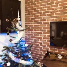 Ściana z cegły dekoracyjnej w salonie z choinką, telewizor oraz obraz w ramie na ścianie