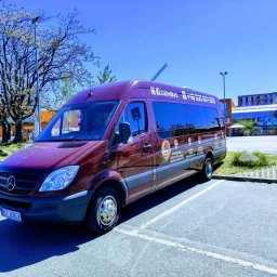 DZIK-BUS Kamil Winnicki - bus 21+kierowca