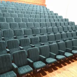 Rzędy zielonych, pluszowych foteli w sali widowiskowej, z drewnianą podłogą i schodami.