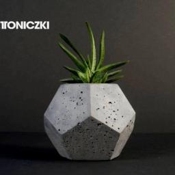 Rośliny i podłoża Sobolew 4