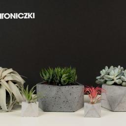 Betoniczki - Kompozycja z sukulentów i oplątw w betonowych doniczkach o geometrycznych kształtach na jasnym blacie, z logo 'Betoniczki' w lewym górnym rogu na czarnym tle.