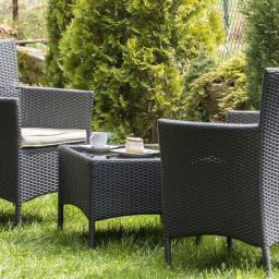 Pensjonat Krywań - Zestaw mebli ogrodowych z plecionki technorattanowej: dwa fotele z poduszkami i stolik kawowy z filiżanką i ciastkiem, na trawniku w ogrodzie.