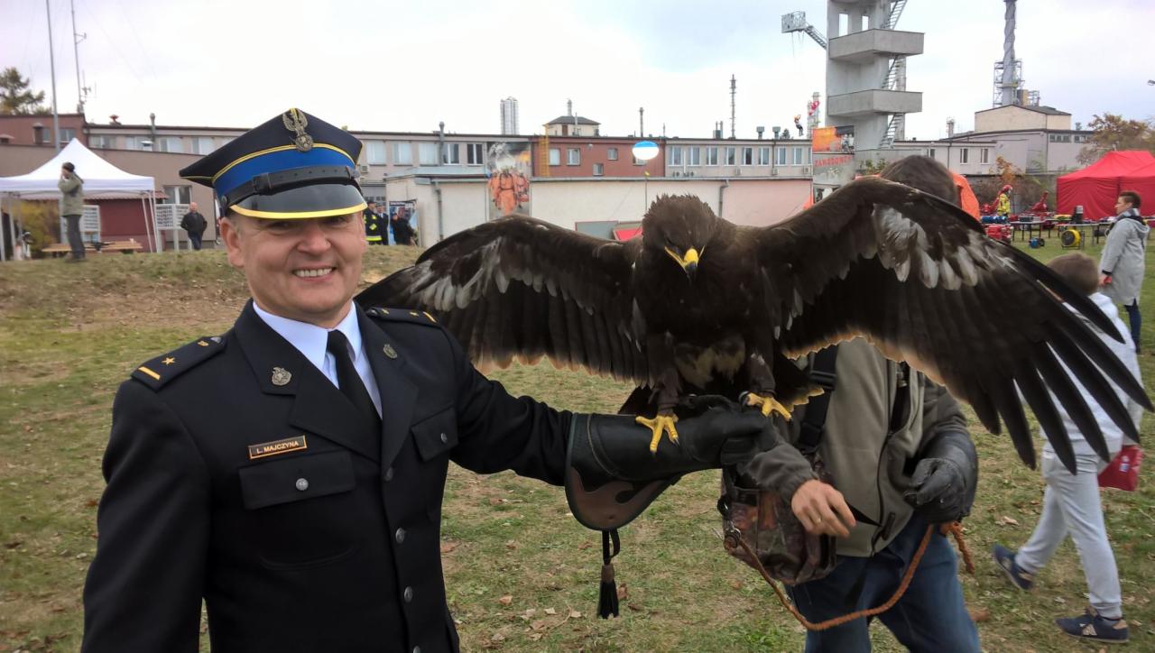 Uśmiechnięty mężczyzna w mundurze strażackim pozuje z dużym orłem na rękawicy sokolniczej podczas pokazu na zewnątrz, w tle budynki i wieża strażacka.