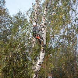 F. H. U. ARBO - Sadzenie Drzew Sadlinki
