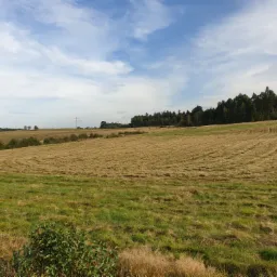 Mulczowanie łąk i nieużytków