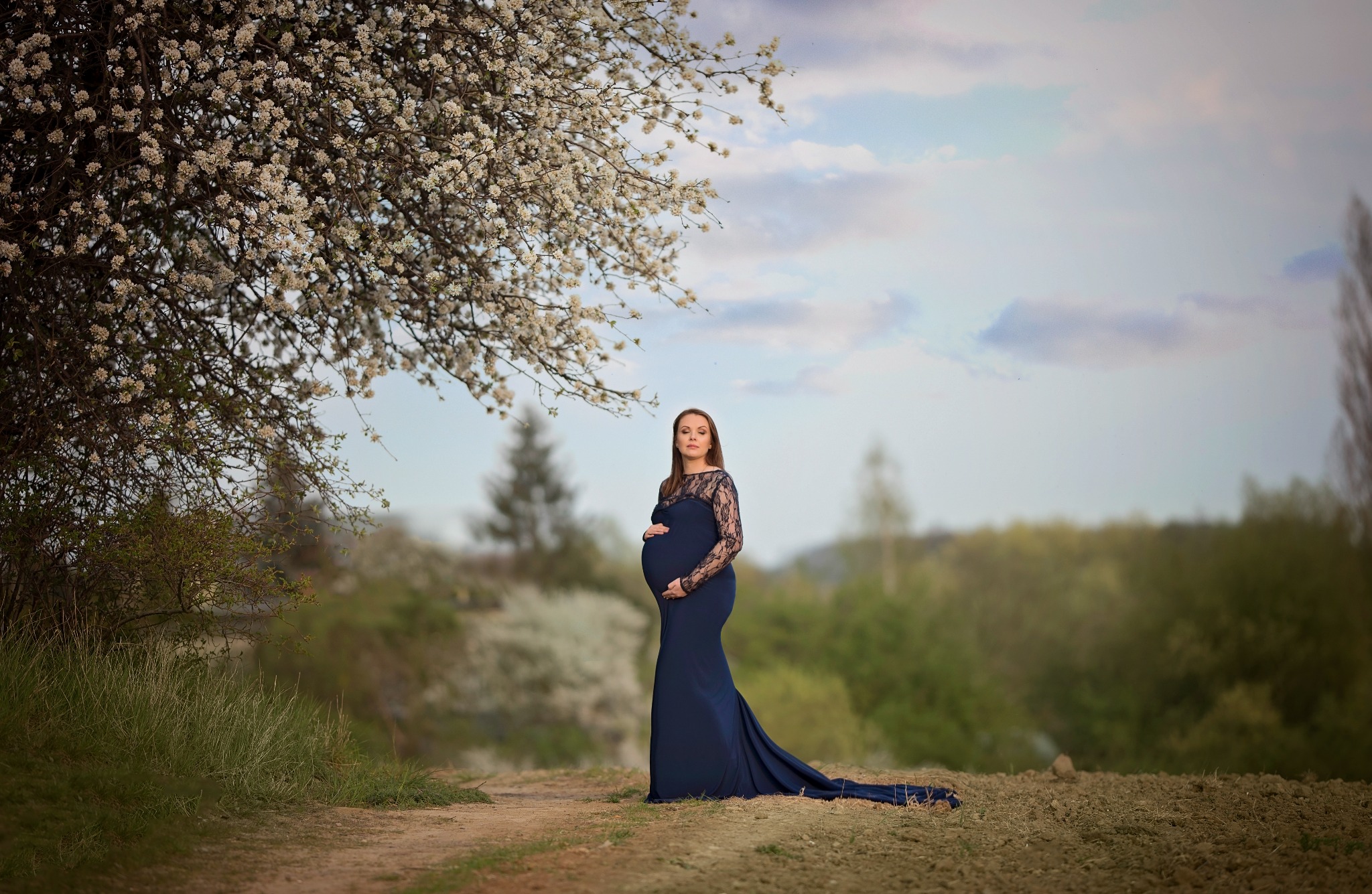 Kobieta w granatowej sukni ciążowej z koronkowymi rękawami pozuje na polu pod kwitnącym drzewem, naturalne światło, delikatne rozmycie tła.
