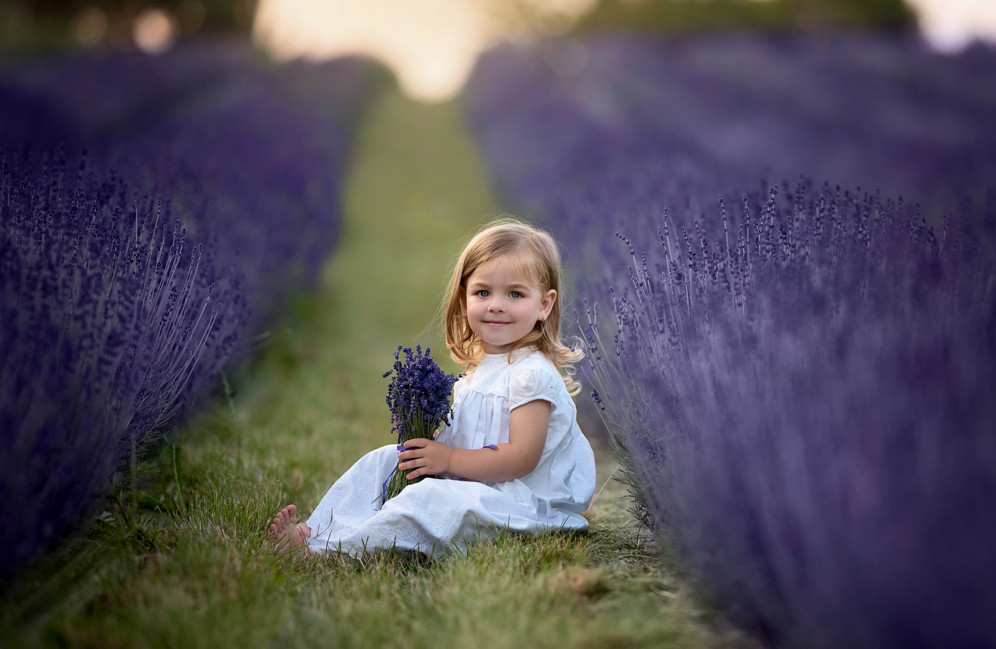 Dziewczynka w białej sukience siedzi boso na trawie w rzędzie kwitnącej lawendy, trzymając bukiet lawendowych kwiatów.
