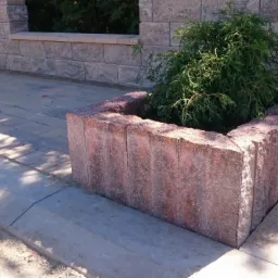 Kwadratowa donica z czerwonej kostki granitowej z iglakiem, ustawiona na chodniku obok krawężnika, w tle mur z kostki.