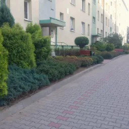 Uporządkowany krajobraz przed blokiem mieszkalnym: równo przycięte tuje i krzewy wzdłuż chodnika z kostki brukowej, ławki w tle.