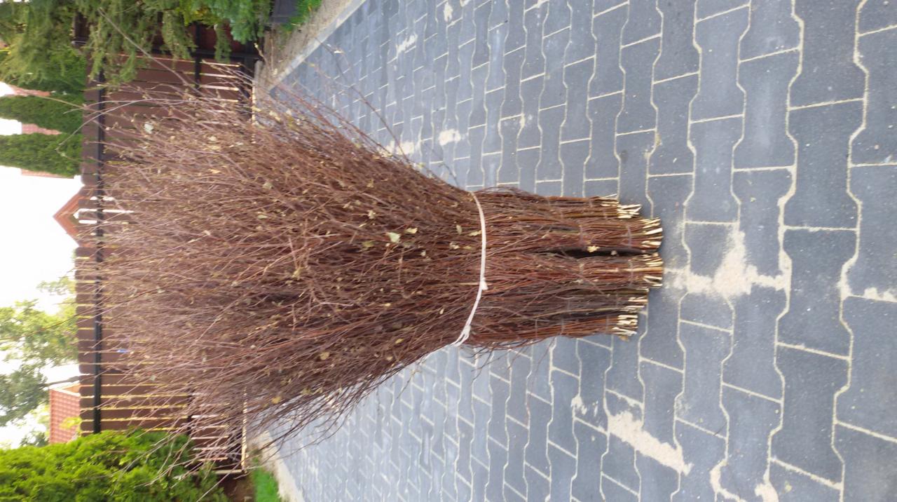 Wiązka brązowych gałęzi związana sznurkiem, leżąca na szarej kostce brukowej z widocznymi zielonymi krzewami i fragmentem drewnianego ogrodzenia w tle.