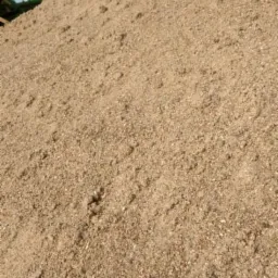 Kopalnia w Brojcach: duża pryzma piasku z widocznym fragmentem taśmociągu transportującego kruszywo.