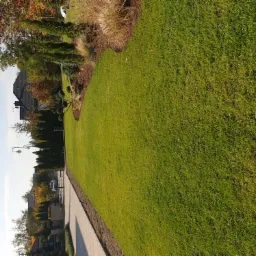 Widok z góry na równo przystrzyżony trawnik przydomowy, z widocznymi drzewami iglastymi i liściastymi w tle oraz ścieżką z kostki brukowej.