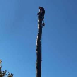 Pielęgnacja ogrodów Olsztynek 4