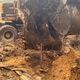 Pielęgnacja ogrodów Olsztynek 2