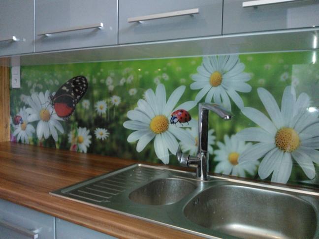 Szklany panel kuchenny z motywem łąki, na którym widoczne są stokrotki, motyl i biedronka, zamontowany nad zlewem i blatem kuchennym.
