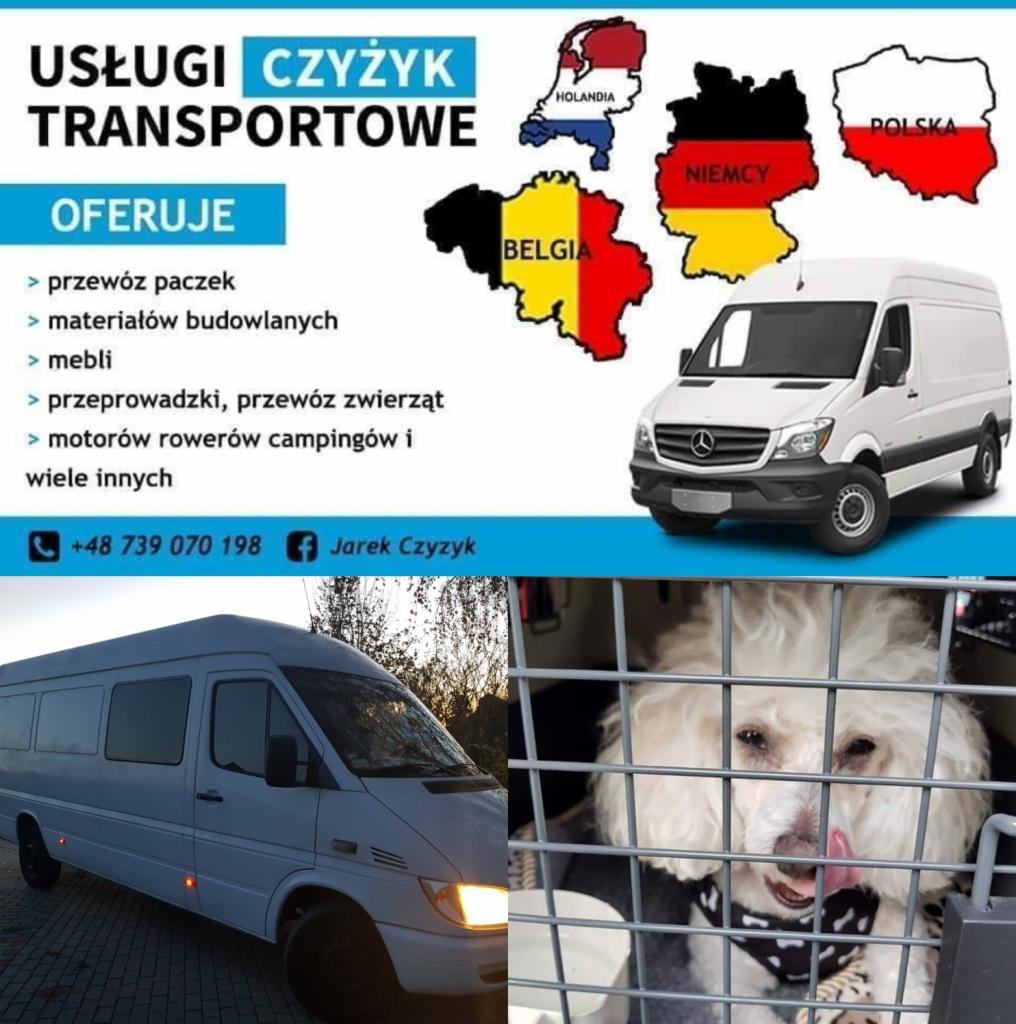 Kolaż zdjęć: górny panel reklamowy z mapami krajów europejskich i białym busem, dolny panel z busem i psem w klatce, sugerujący transport międzynarodowy zwierząt.