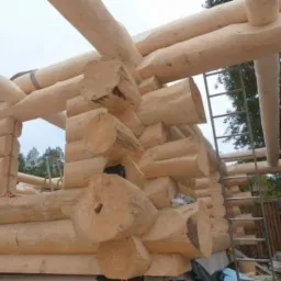 Budowa domu z okrąglaków: surowe drewno, widoczne połączenia na węgłach, drabina oparta o ścianę, dźwig w tle, etap montażu ścian.