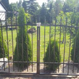 VENT Piotr Osiński - Nowo zainstalowana, czarna, metalowa brama z dekoracyjnymi elementami na tle rzędu wysokich, zielonych tuj, z wiązką białego sznurka na górze jednego ze słupków i białym wiadrem z farbą widocznym u...