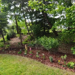 Rabata z korą i nasadzeniami kwiatów oraz krzewów na tle zielonego trawnika i drzew. Widok na zadbany ogród przy domu.