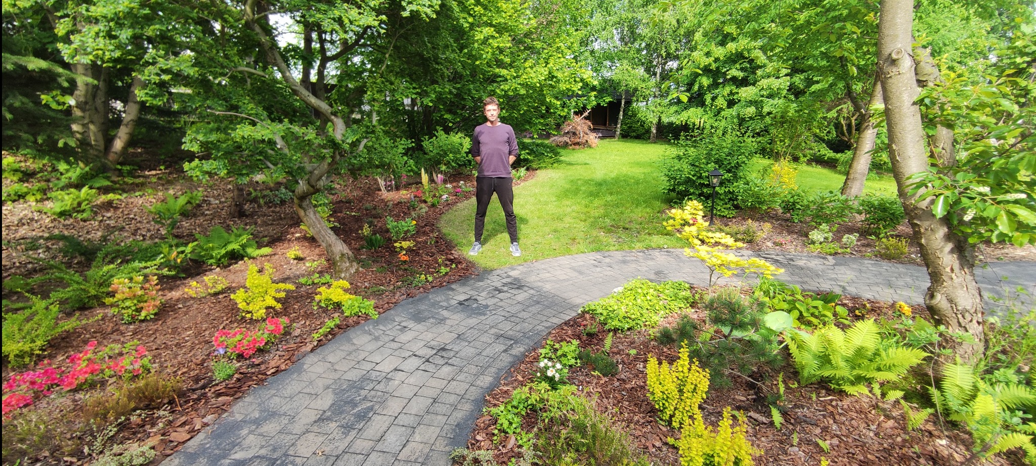 Ogród z krętą ścieżką z kostki, rabatami kwiatowymi i drzewami. Na trawniku stoi mężczyzna. Widoczne jest ściółkowanie korą. Pełne słońce podkreśla barwy roślin.