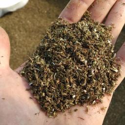 Rośliny i podłoża Warszawa 3