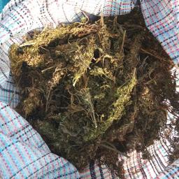 Rośliny i podłoża Warszawa 4