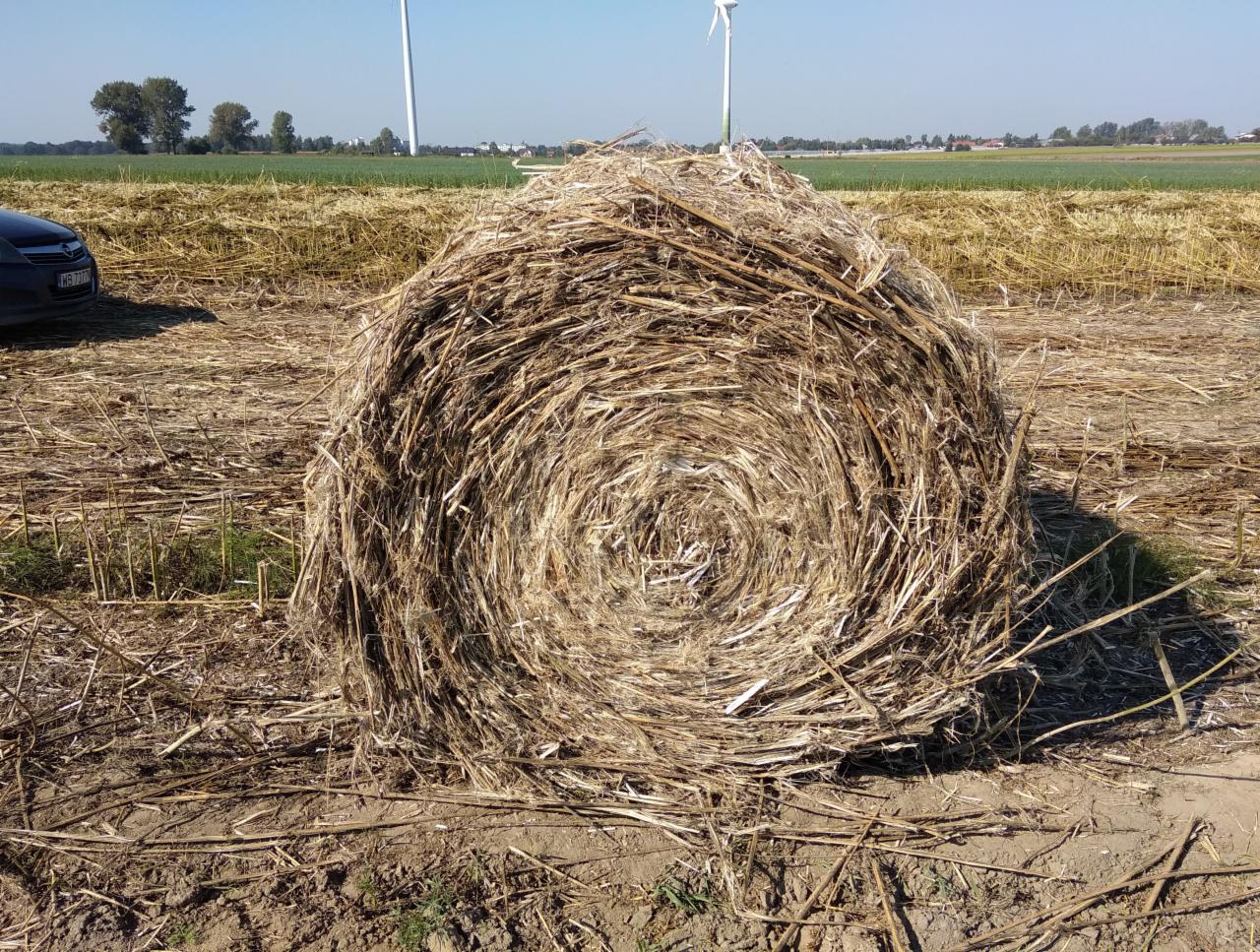 Okrągła bala słomy na polu po żniwach, w tle widoczne turbiny wiatrowe i fragment samochodu.