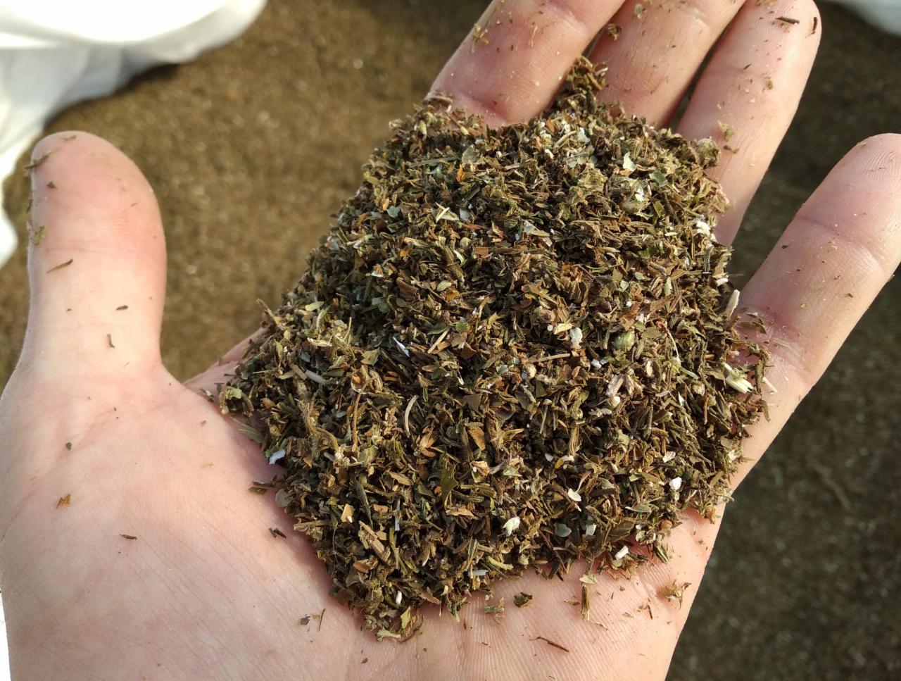 Otwarta dłoń trzyma garść suszu ziół i liści, widoczne drobne białe fragmenty, w tle większa ilość tego samego materiału.