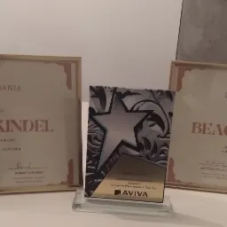 Dyplomy i statuetka Lidera Ubezpieczeń Grupowych