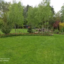 Rozległy, zadbany trawnik z rabatą tulipanów w kolorach żółtym, czerwonym i fioletowym, otoczony drzewami, w tle widoczny plac zabaw i elementy dekoracyjne ogrodu.