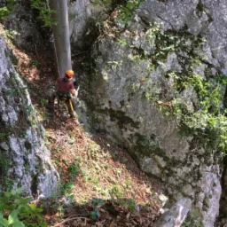 Pracownik w kasku i uprzęży, z piłą łańcuchową, przy drzewie rosnącym na zboczu porośniętym skałami.