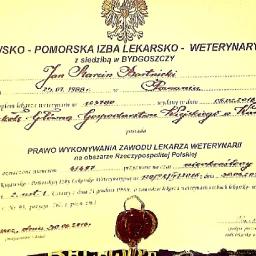 NO-NO WET - Pirotechnika Konarzyce