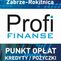 Szyld punktu finansowego Profi Finanse w Zabrzu-Rokitnicy, oferującego kredyty i pożyczki, z numerem telefonu 799 030 034.