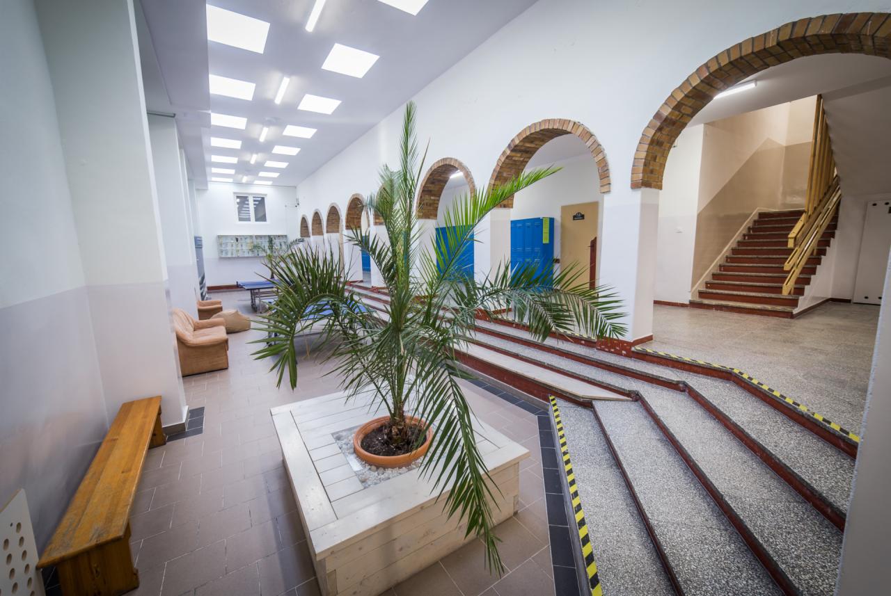 Wnętrze korytarza z ceglanymi łukami, rampami dla wózków inwalidzkich, roślinami doniczkowymi i schodami na piętro.