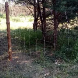 Oferujemy ogrodzenia tymczasowe na dzialkach budowlanych. Robimy rownież bramy z desek i siatki leśnej.