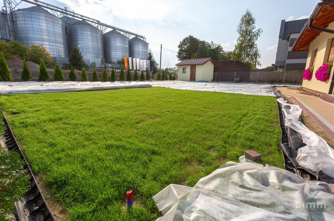 Trawa 10 dni po kiełkowaniu, specjalnie zabezpieczamy nasiona przesianą ziemią oraz włókniną