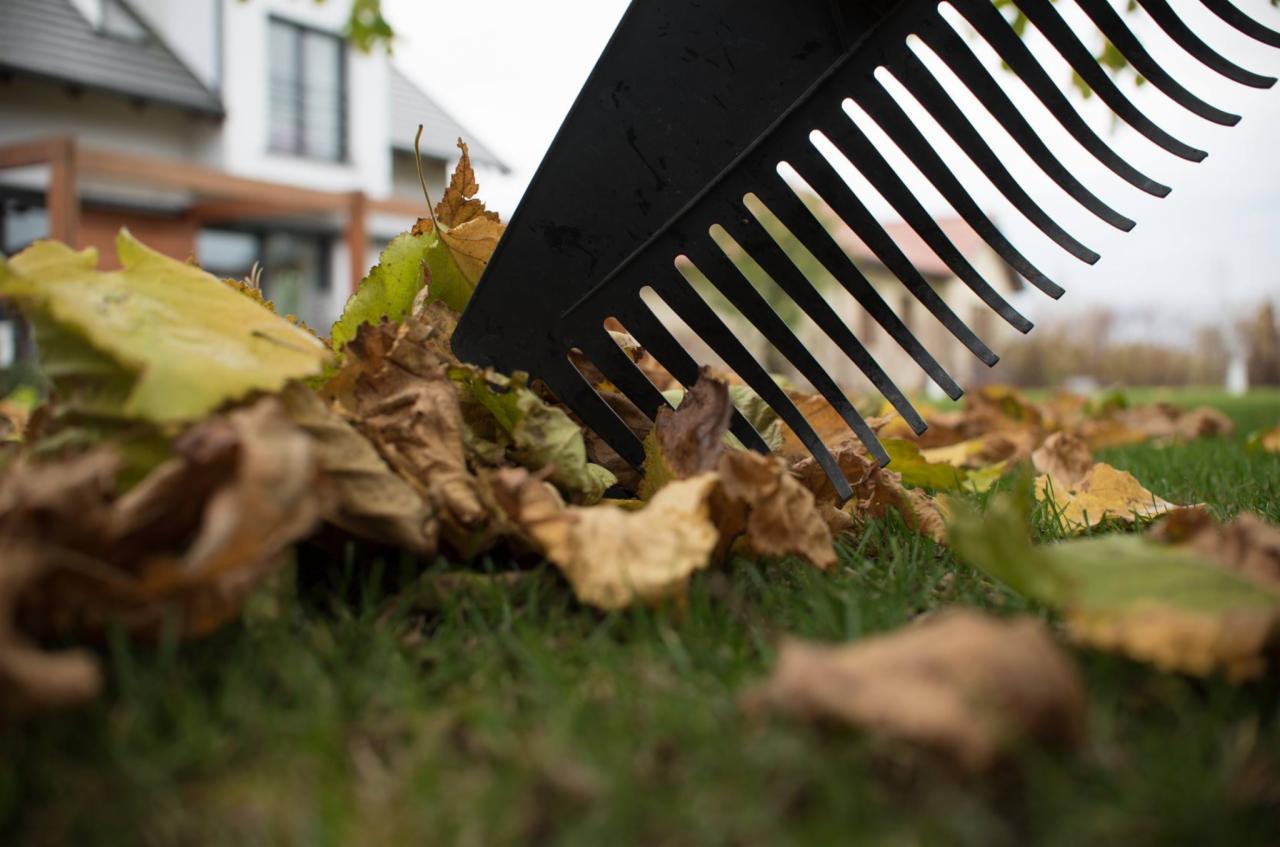 W wachlarzu usług mamy również jesienne/wiosenne porządki